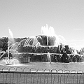 Chicago 008